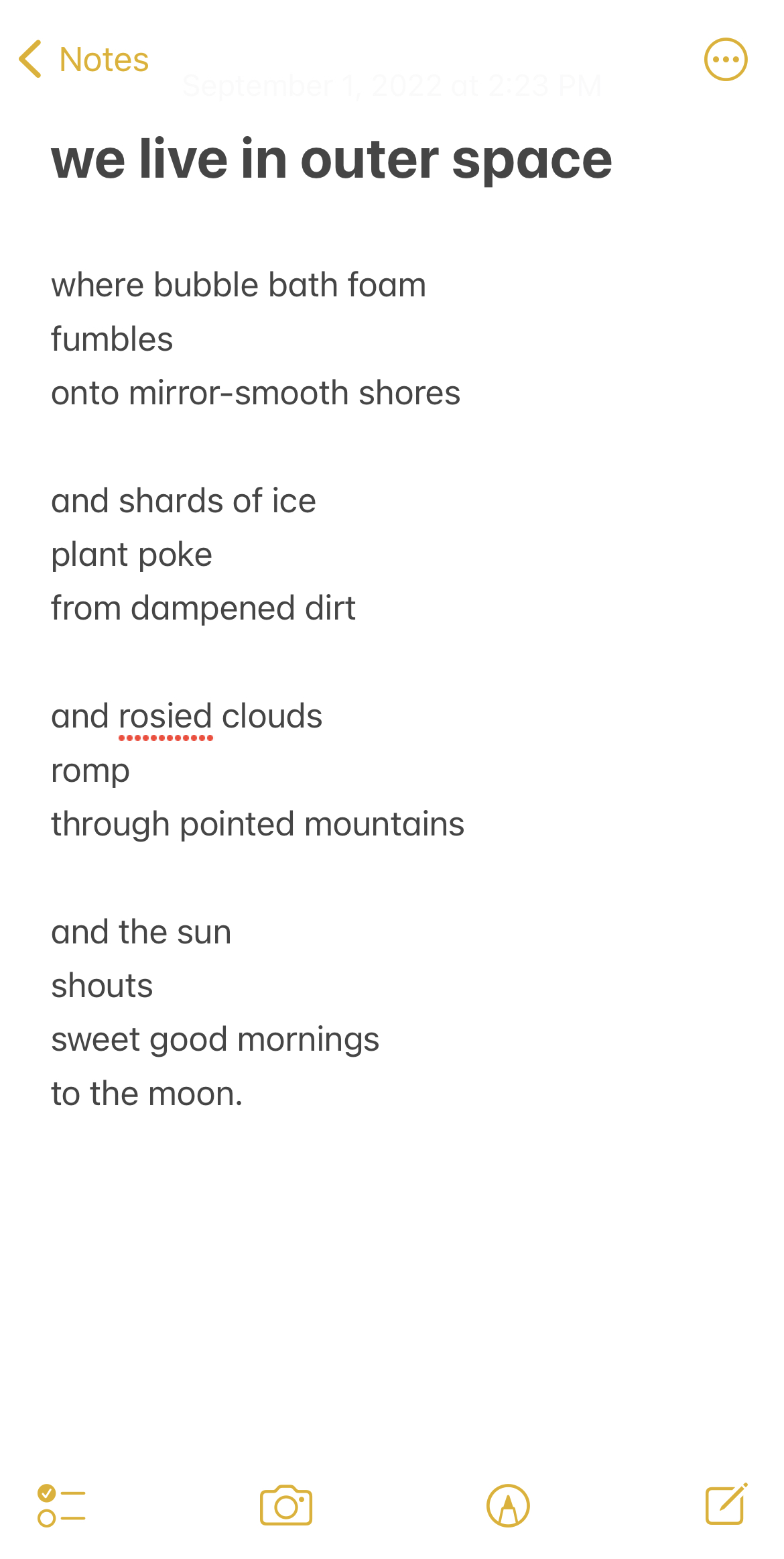 short poem written on Apple notes page entitled 'we live in outer space'
